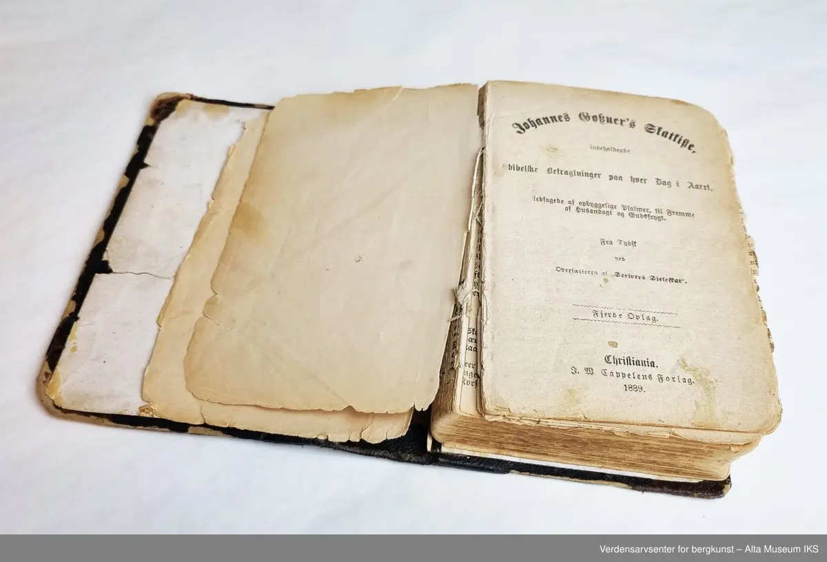 Bok innbundet i brunt skinn med gulldekorasjon og tittel i gotisk skrift på ryggen. 