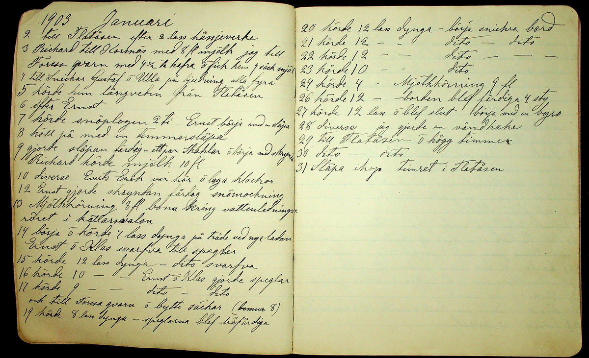Dagbok åren 1903-19/1 1911 efter hemmansägaren Sigge Johan Gustaf Eriksson i Översätra, Stora Skedvi socken.