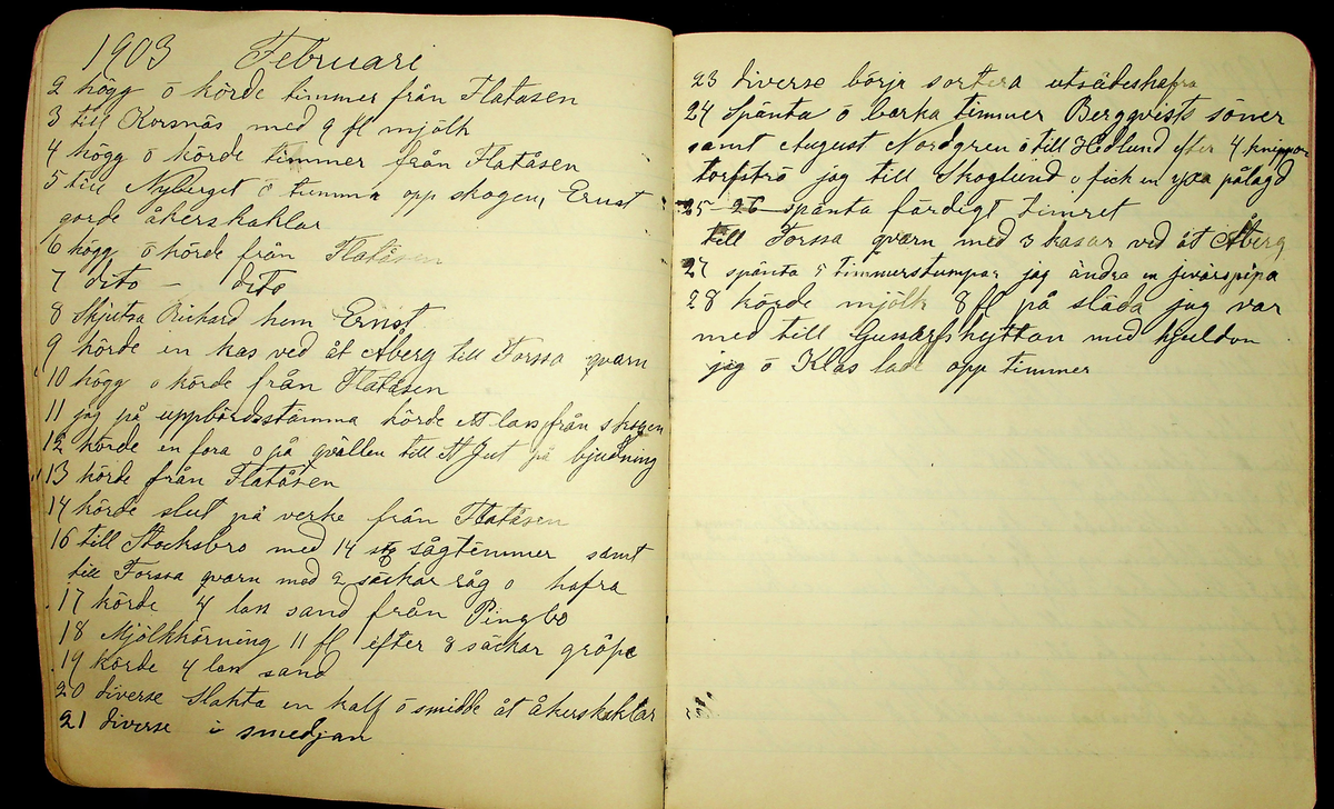 Dagbok åren 1903-19/1 1911 efter hemmansägaren Sigge Johan Gustaf Eriksson i Översätra, Stora Skedvi socken.