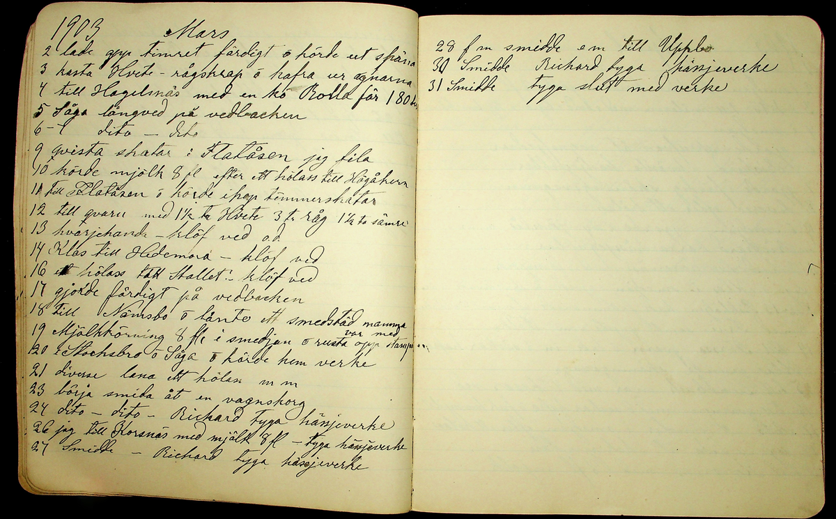 Dagbok åren 1903-19/1 1911 efter hemmansägaren Sigge Johan Gustaf Eriksson i Översätra, Stora Skedvi socken.