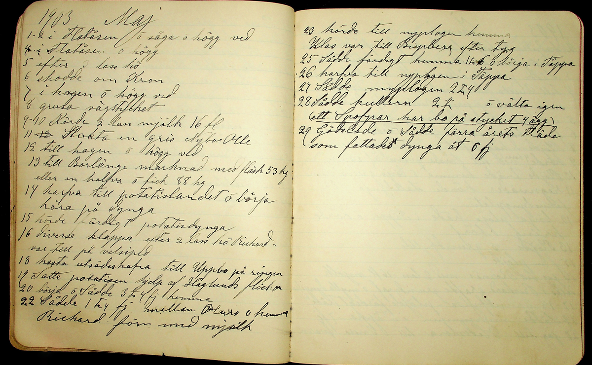 Dagbok åren 1903-19/1 1911 efter hemmansägaren Sigge Johan Gustaf Eriksson i Översätra, Stora Skedvi socken.