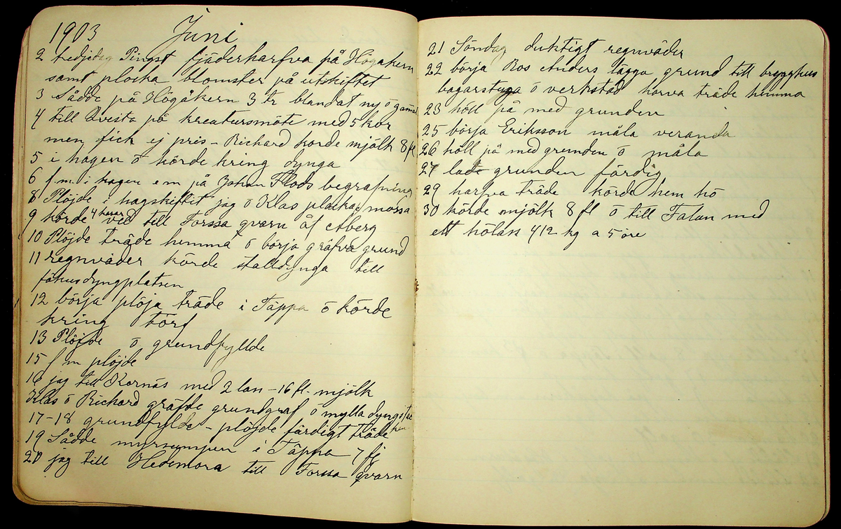 Dagbok åren 1903-19/1 1911 efter hemmansägaren Sigge Johan Gustaf Eriksson i Översätra, Stora Skedvi socken.