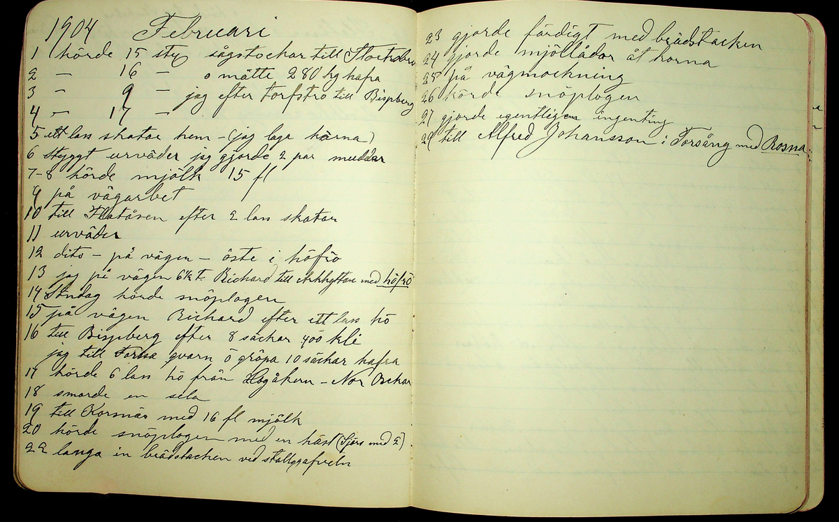 Dagbok åren 1903-19/1 1911 efter hemmansägaren Sigge Johan Gustaf Eriksson i Översätra, Stora Skedvi socken.