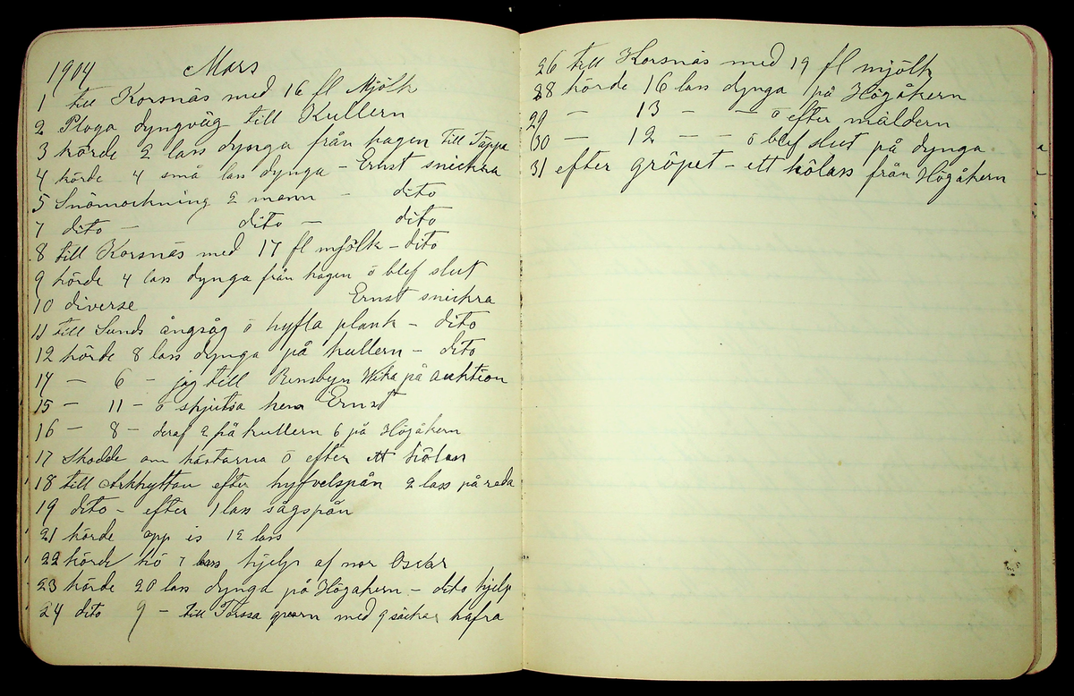 Dagbok åren 1903-19/1 1911 efter hemmansägaren Sigge Johan Gustaf Eriksson i Översätra, Stora Skedvi socken.