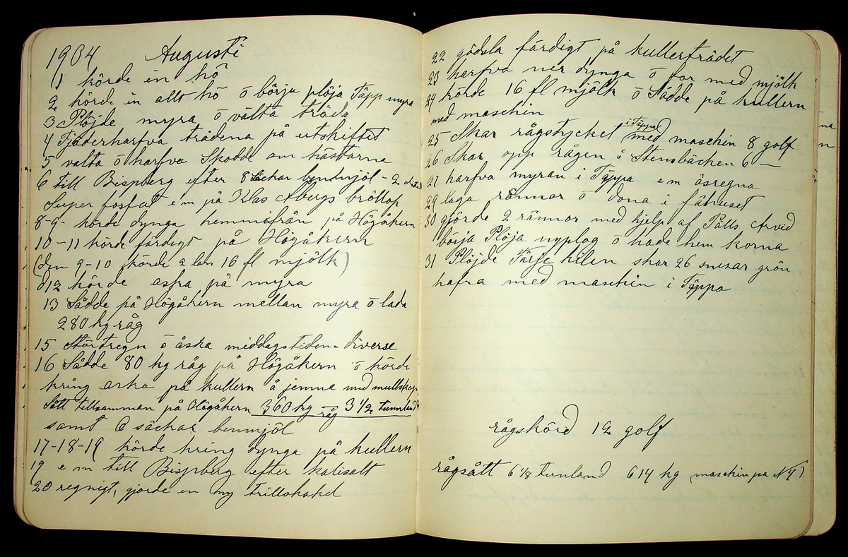 Dagbok åren 1903-19/1 1911 efter hemmansägaren Sigge Johan Gustaf Eriksson i Översätra, Stora Skedvi socken.