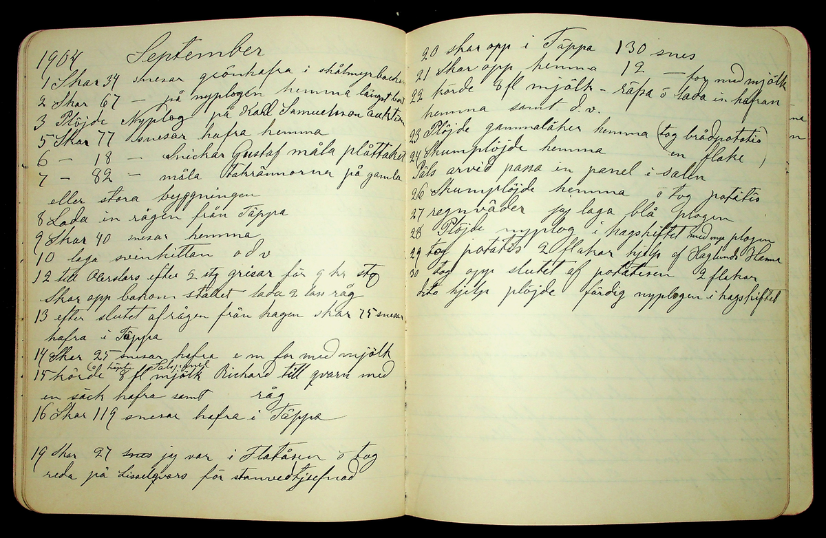 Dagbok åren 1903-19/1 1911 efter hemmansägaren Sigge Johan Gustaf Eriksson i Översätra, Stora Skedvi socken.