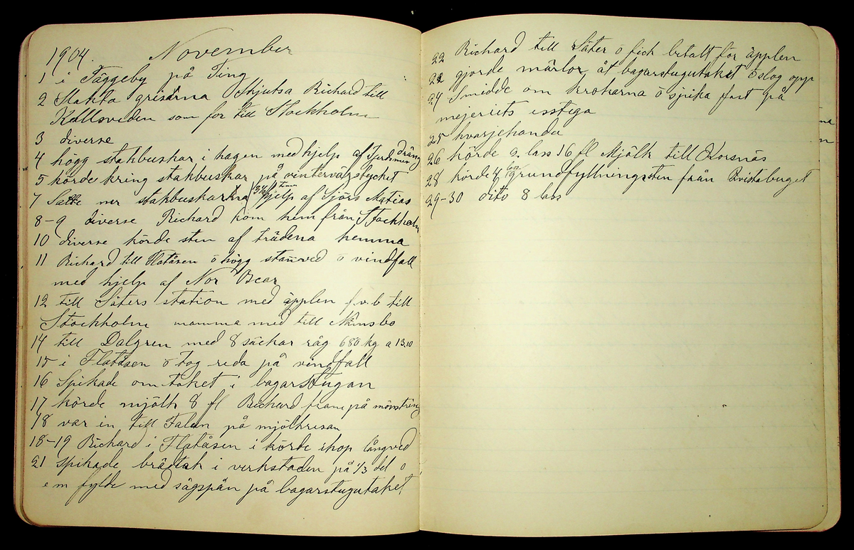 Dagbok åren 1903-19/1 1911 efter hemmansägaren Sigge Johan Gustaf Eriksson i Översätra, Stora Skedvi socken.