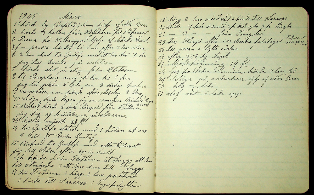 Dagbok åren 1903-19/1 1911 efter hemmansägaren Sigge Johan Gustaf Eriksson i Översätra, Stora Skedvi socken.