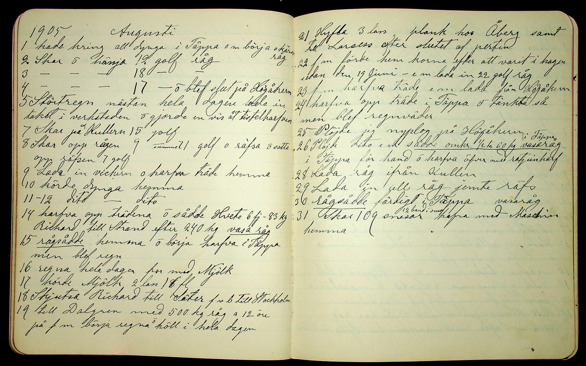 Dagbok åren 1903-19/1 1911 efter hemmansägaren Sigge Johan Gustaf Eriksson i Översätra, Stora Skedvi socken.