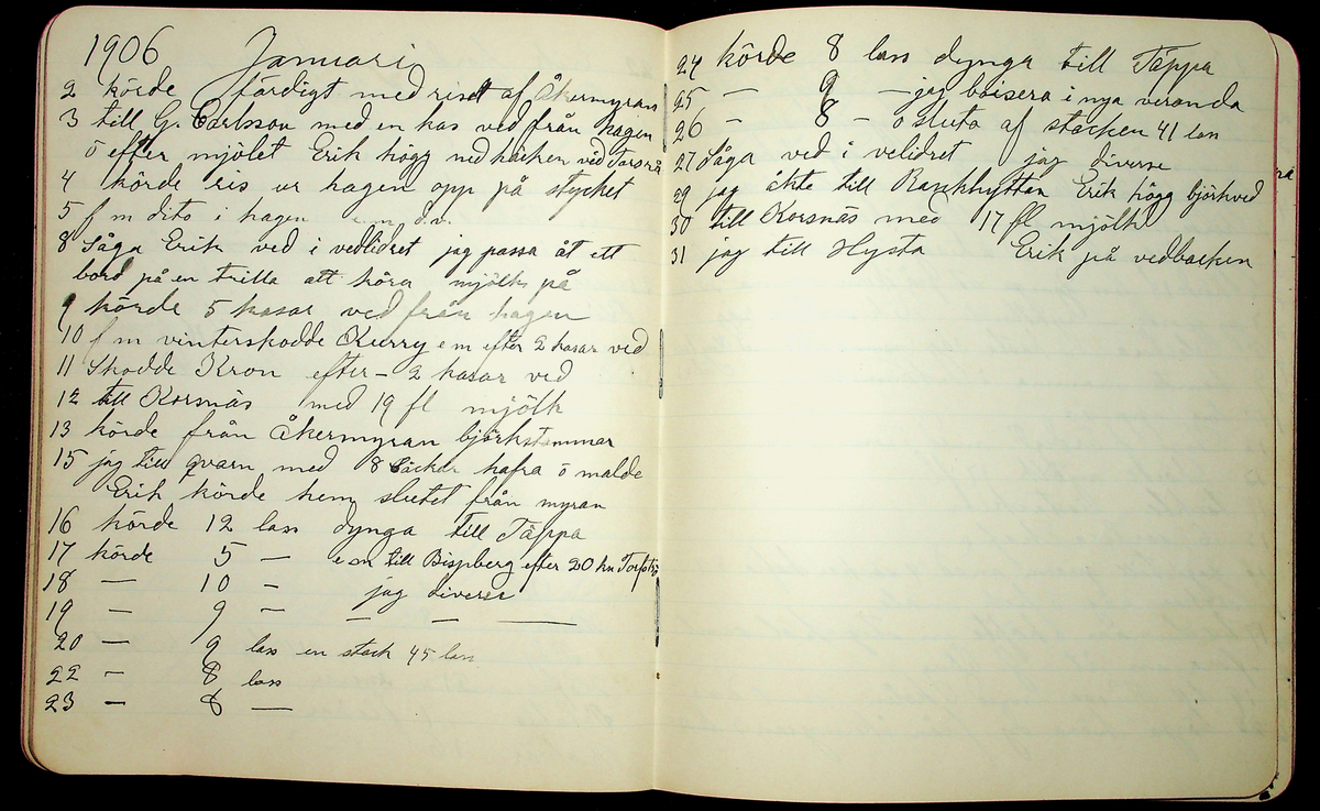 Dagbok åren 1903-19/1 1911 efter hemmansägaren Sigge Johan Gustaf Eriksson i Översätra, Stora Skedvi socken.