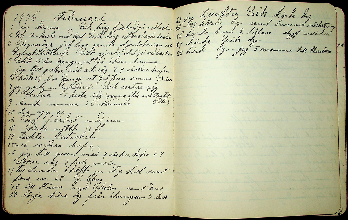 Dagbok åren 1903-19/1 1911 efter hemmansägaren Sigge Johan Gustaf Eriksson i Översätra, Stora Skedvi socken.