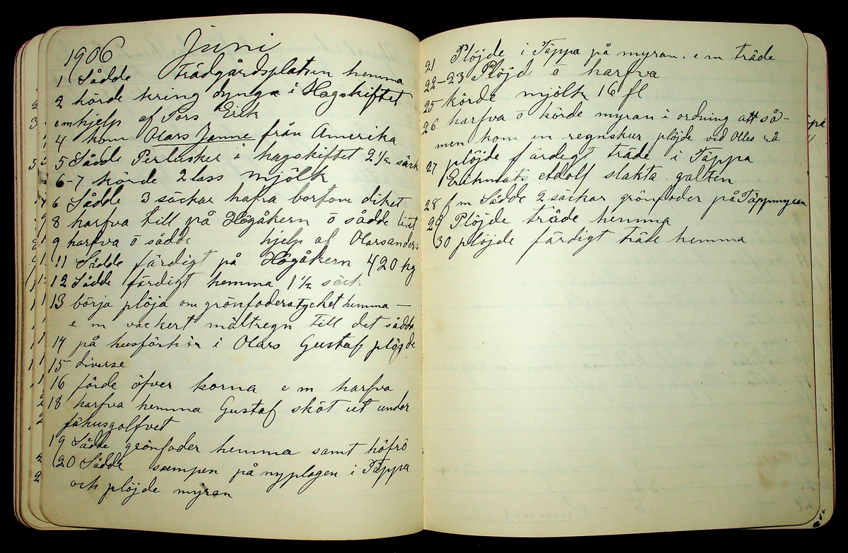 Dagbok åren 1903-19/1 1911 efter hemmansägaren Sigge Johan Gustaf Eriksson i Översätra, Stora Skedvi socken.