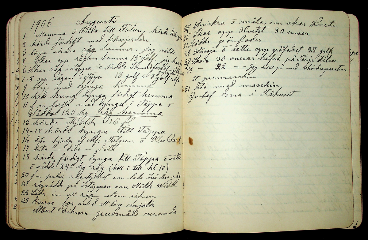 Dagbok åren 1903-19/1 1911 efter hemmansägaren Sigge Johan Gustaf Eriksson i Översätra, Stora Skedvi socken.