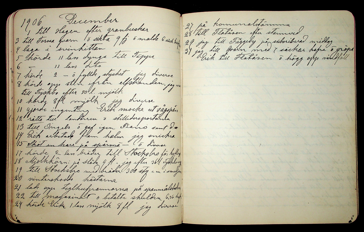 Dagbok åren 1903-19/1 1911 efter hemmansägaren Sigge Johan Gustaf Eriksson i Översätra, Stora Skedvi socken.