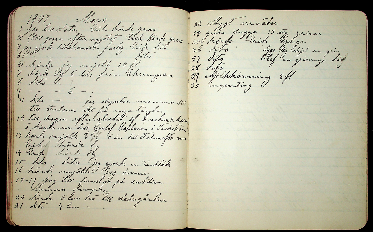 Dagbok åren 1903-19/1 1911 efter hemmansägaren Sigge Johan Gustaf Eriksson i Översätra, Stora Skedvi socken.