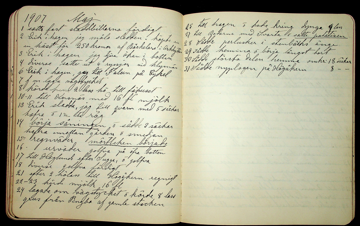 Dagbok åren 1903-19/1 1911 efter hemmansägaren Sigge Johan Gustaf Eriksson i Översätra, Stora Skedvi socken.