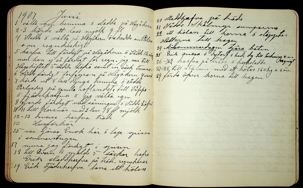 Dagbok åren 1903-19/1 1911 efter hemmansägaren Sigge Johan Gustaf Eriksson i Översätra, Stora Skedvi socken.