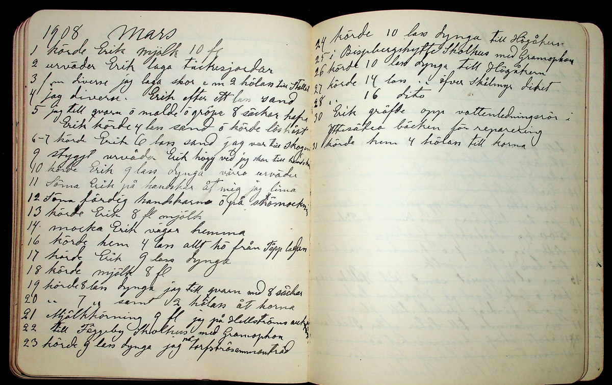 Dagbok åren 1903-19/1 1911 efter hemmansägaren Sigge Johan Gustaf Eriksson i Översätra, Stora Skedvi socken.