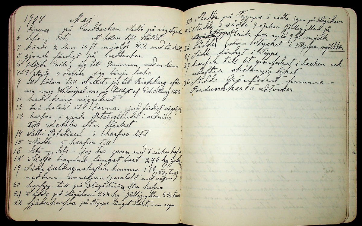 Dagbok åren 1903-19/1 1911 efter hemmansägaren Sigge Johan Gustaf Eriksson i Översätra, Stora Skedvi socken.