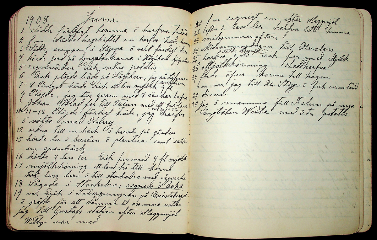 Dagbok åren 1903-19/1 1911 efter hemmansägaren Sigge Johan Gustaf Eriksson i Översätra, Stora Skedvi socken.