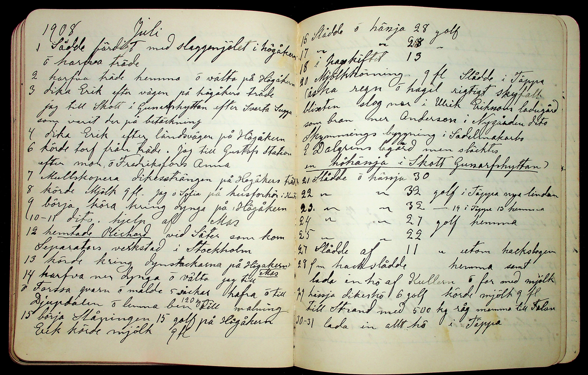 Dagbok åren 1903-19/1 1911 efter hemmansägaren Sigge Johan Gustaf Eriksson i Översätra, Stora Skedvi socken.