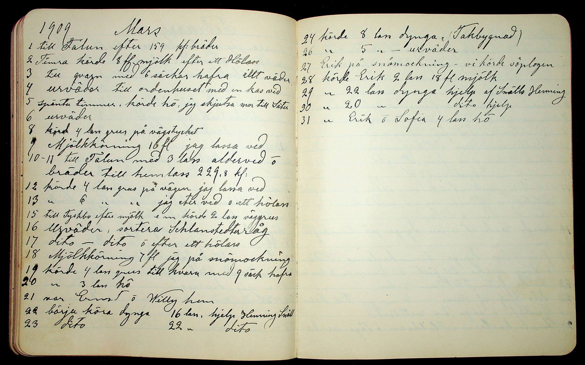 Dagbok åren 1903-19/1 1911 efter hemmansägaren Sigge Johan Gustaf Eriksson i Översätra, Stora Skedvi socken.