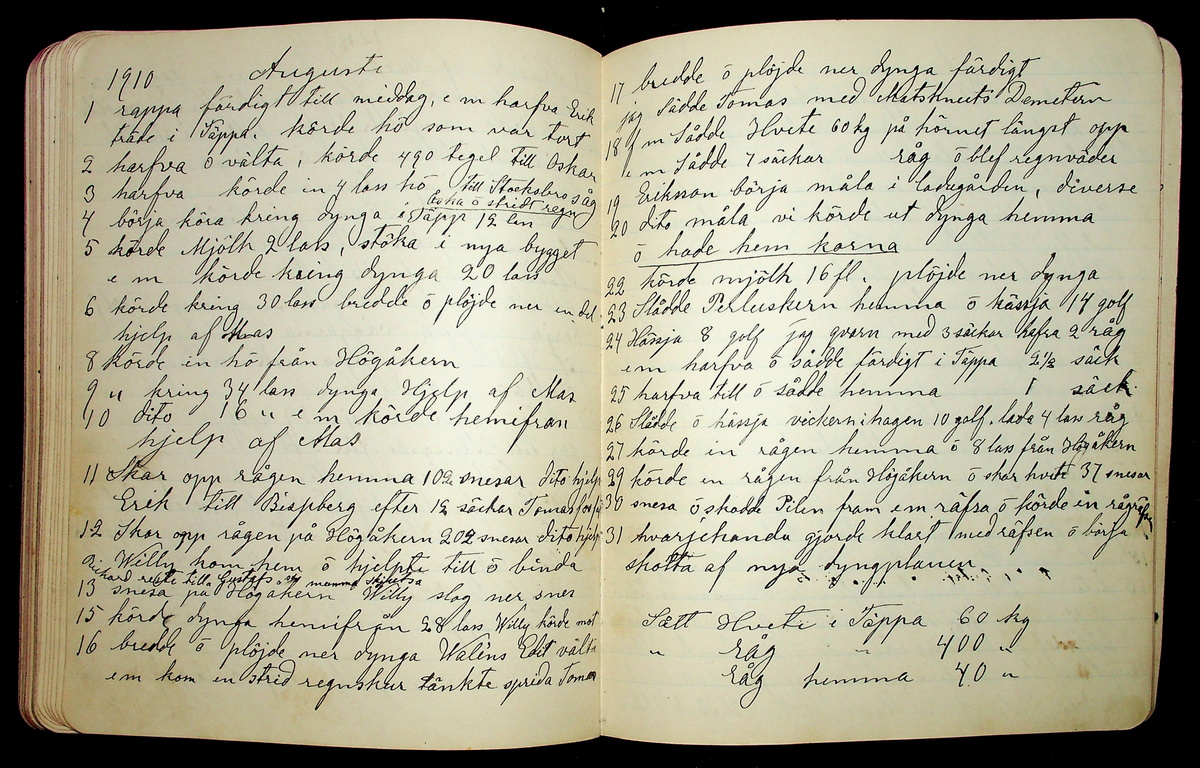 Dagbok åren 1903-19/1 1911 efter hemmansägaren Sigge Johan Gustaf Eriksson i Översätra, Stora Skedvi socken.