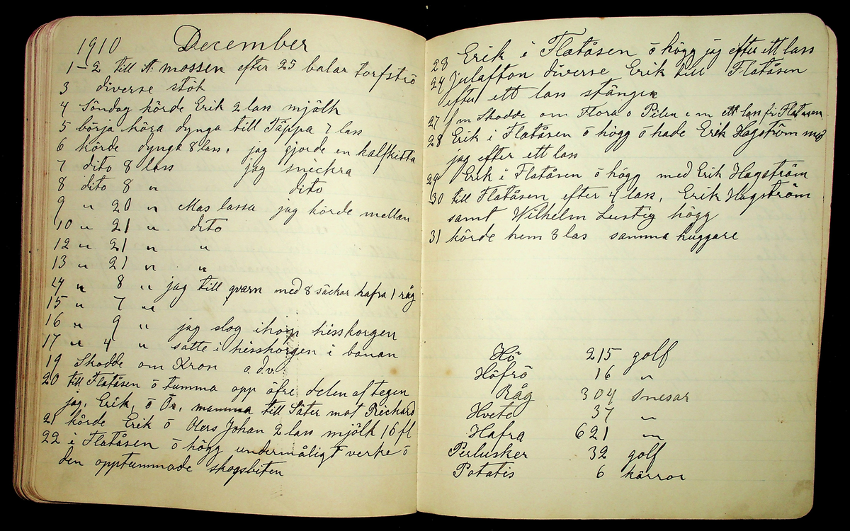 Dagbok åren 1903-19/1 1911 efter hemmansägaren Sigge Johan Gustaf Eriksson i Översätra, Stora Skedvi socken.