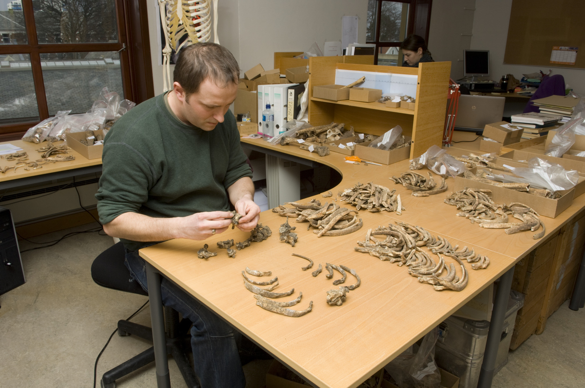 Sean Dexter Denham i arbeid med skjeletter fra Domkirken.