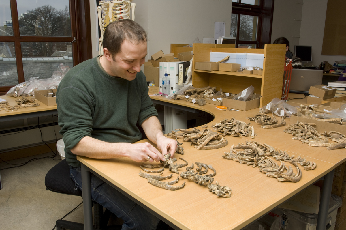 Sean Dexter Denham i arbeid med skjeletter fra Domkirken.