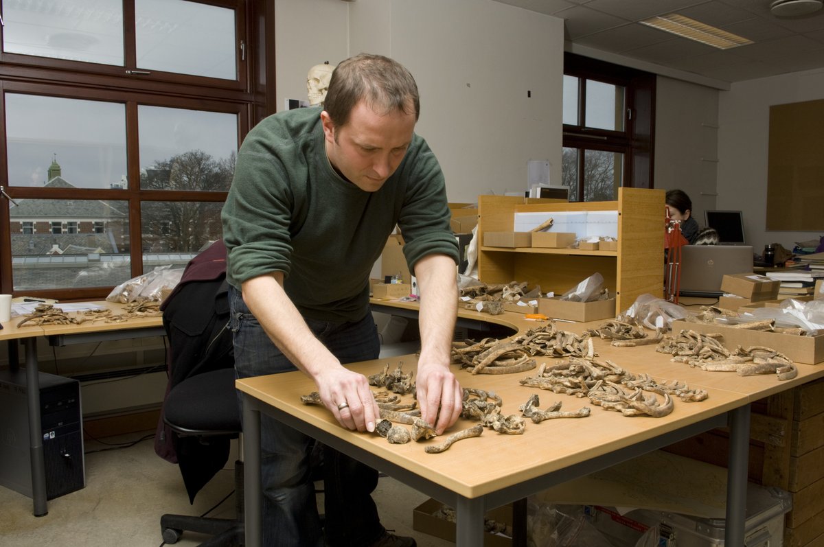 Sean Dexter Denham i arbeid med skjeletter fra Domkirken.