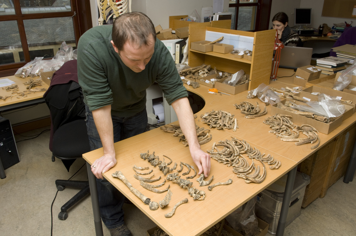 Sean Dexter Denham i arbeid med skjeletter fra Domkirken.