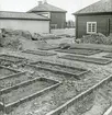 Arbete med örtagården i Gamla Linköping hösten 1956. I bakgrunden syns Landshövdingehuset och Skolmästaregården.