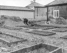 Arbete med örtagården i Gamla Linköping hösten 1956. I bakgrunden syns Landshövdingehuset och Skolmästaregården.