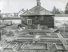 Arbete med örtagården i Gamla Linköping hösten 1956. I bakgrunden syns Skolmästaregården och bortanför den skymtar Rulanderska gården.