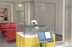 Månadens nyhet - 3D-implantat