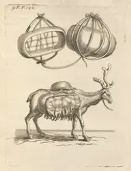 Reinsdyr med oppakning [Grafikk]