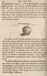 Geometrisk figur, samenes historie [Grafikk]