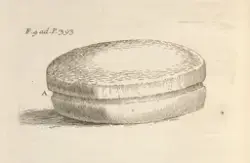 Møllestein [Grafikk]