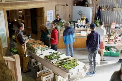 Martnasbord i fjøset med selgere og kunder 