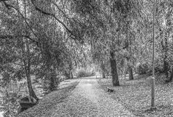 Strandpromenaden mot öster, år 1970. Ligger längs Stångån. 
