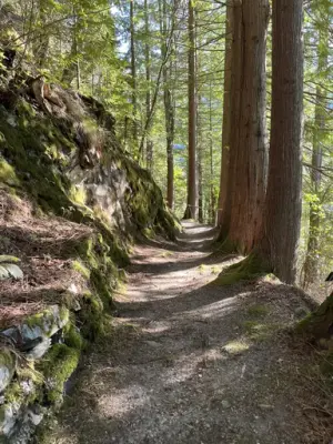 Besøk med omvisning Svinviks arboret