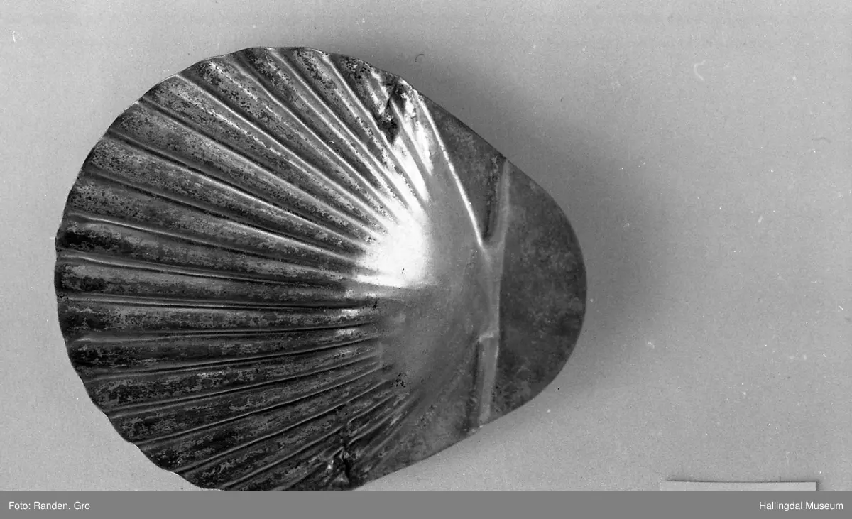 Kakeform i blekk. Formet som et skjell.