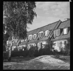Skönstaholm
Exteriör, radhusområde, trädgårdsfasad med gräs 