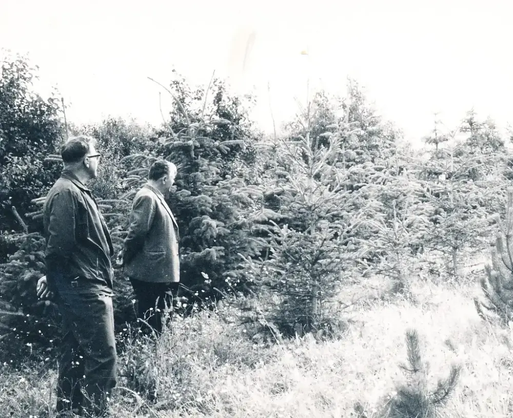 Magnar Edvardsen og Kristian Foss studerer leplanting ved forsøksgården
