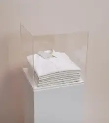 Erindring og reparasjon: raseri [Installasjon]