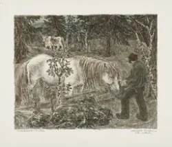 Prestegårdskviten [Litografi]