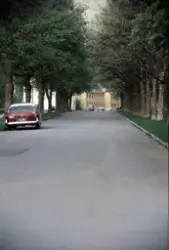 Biler parkert langs Tveito Allé. Leilighetsbygg for fire fam