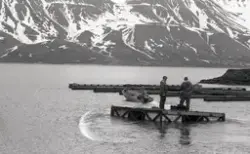 To-takteren, dugnad i småbathavna.