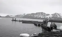 To-takteren, dugnad i småbathavna.